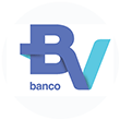 BV banco e financeira logo redonda - Invista em energa com a Insolar Brasil